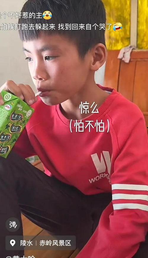 小孩哥最新爆料,揭秘娱乐圈最新热点事件!