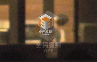 沈梦晨最新爆料视频播放,娱乐圈背后惊人真相