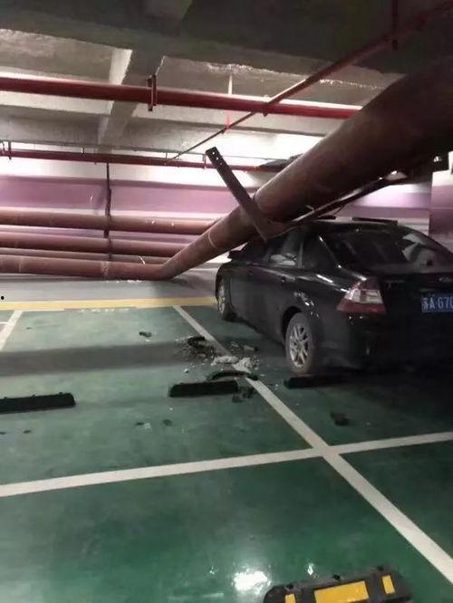 停车场最新爆料视频,停车场惊现神秘事件,视频揭秘惊人真相!